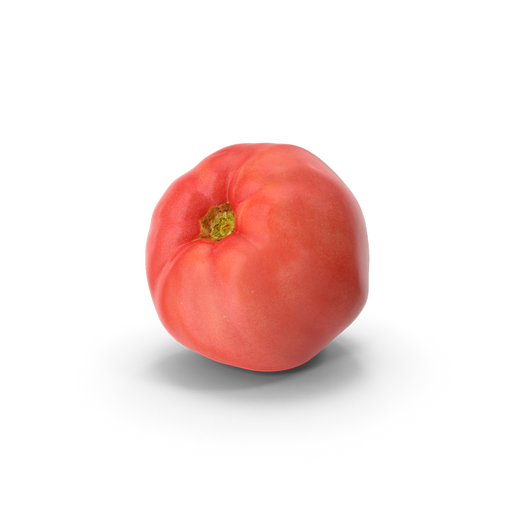 Tomate